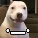 S_