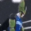 cellball