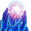whomst whomst
