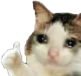 sadCatThumbs_Ssog sadCatThumbs_Ssog