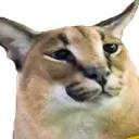 bigfloppa Discord Emoji