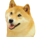 smildoge