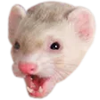 6414_PogFerret Discord Emoji