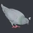 happypigeon Discord Emoji