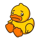 sadduck