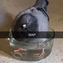 wap