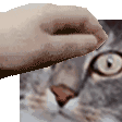 zLegacy_PatTheGalen Discord emoji