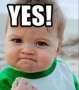 yes