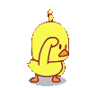 danceduck