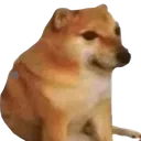 DogeBonk2 DogeBonk2