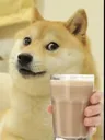 Zehar_pelo