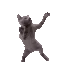 pp252