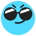 ZZ_tiktoksunglasses