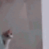 5_running Discord emoji