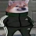 pp467