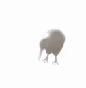 ED_kiwivibe
