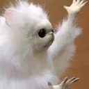 pp318