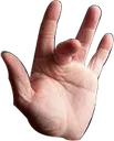 pp471