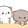 nyasNoticeme