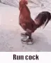 RUNCOCK