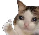 il_OkayKat
