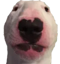 walter walter