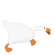 gooseChase
