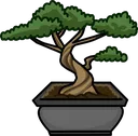 bonsaitree
