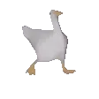 gooseDance