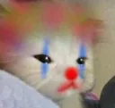 Catclown catclown Discord Emoji