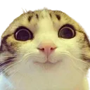 hehe