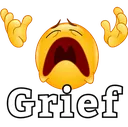 T21_Grief T21_Grief