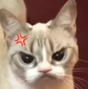 Enojau