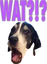 Kaman_wat Kaman_wat