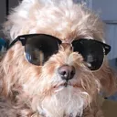 swag