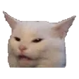 memecat