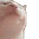 chatpimp