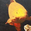 fishbreakfast