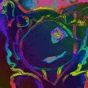 TripPim