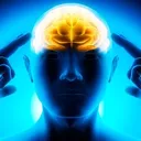 bigbrain