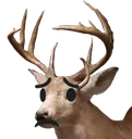 deerworry