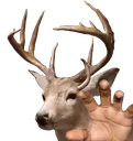 deergrab