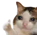 sadCatThumbsUp