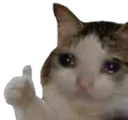 catok