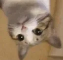 hmm2
