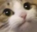 hmm3