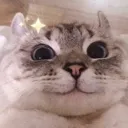 coli_catsmile coli_catsmile