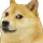 NEK_Doge