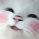 Hehe Hehe