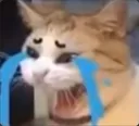 ch_crying